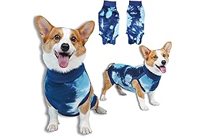 Breathable Dog Recovery Suit: Anti-Licking Solution for Male Post-Neutering