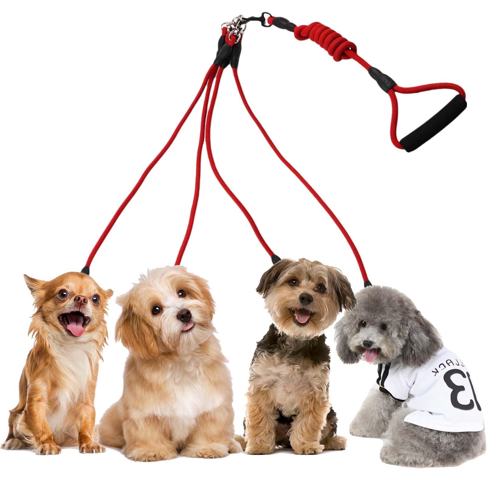 Nylon Guinzaglio Cani,4 in 1 Cane Guinzaglio,Guinzaglio multifunzione,Guinzaglio per Cani regolabile,Multi Guinzaglio per Animali Domestici, per passeggiate ed escursioni con animali domestici（rojo）