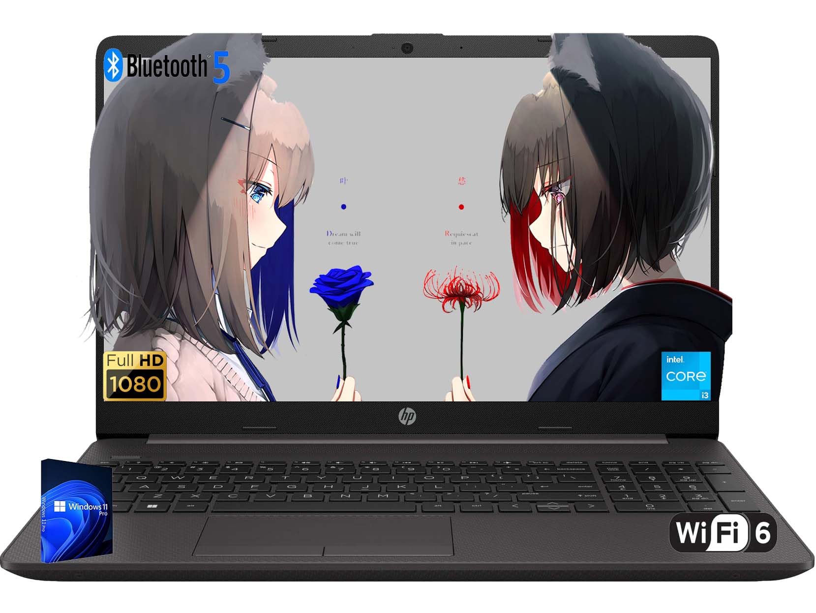 Amazon.com: HP 250 G9 Laptop | 15.6