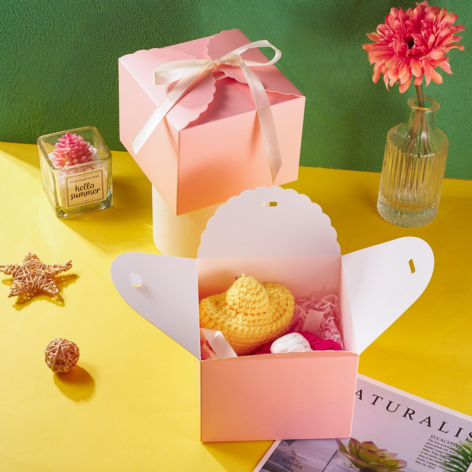 Boîte à bijoux personnalisée pour professeur avec nœud coquette, étui à
