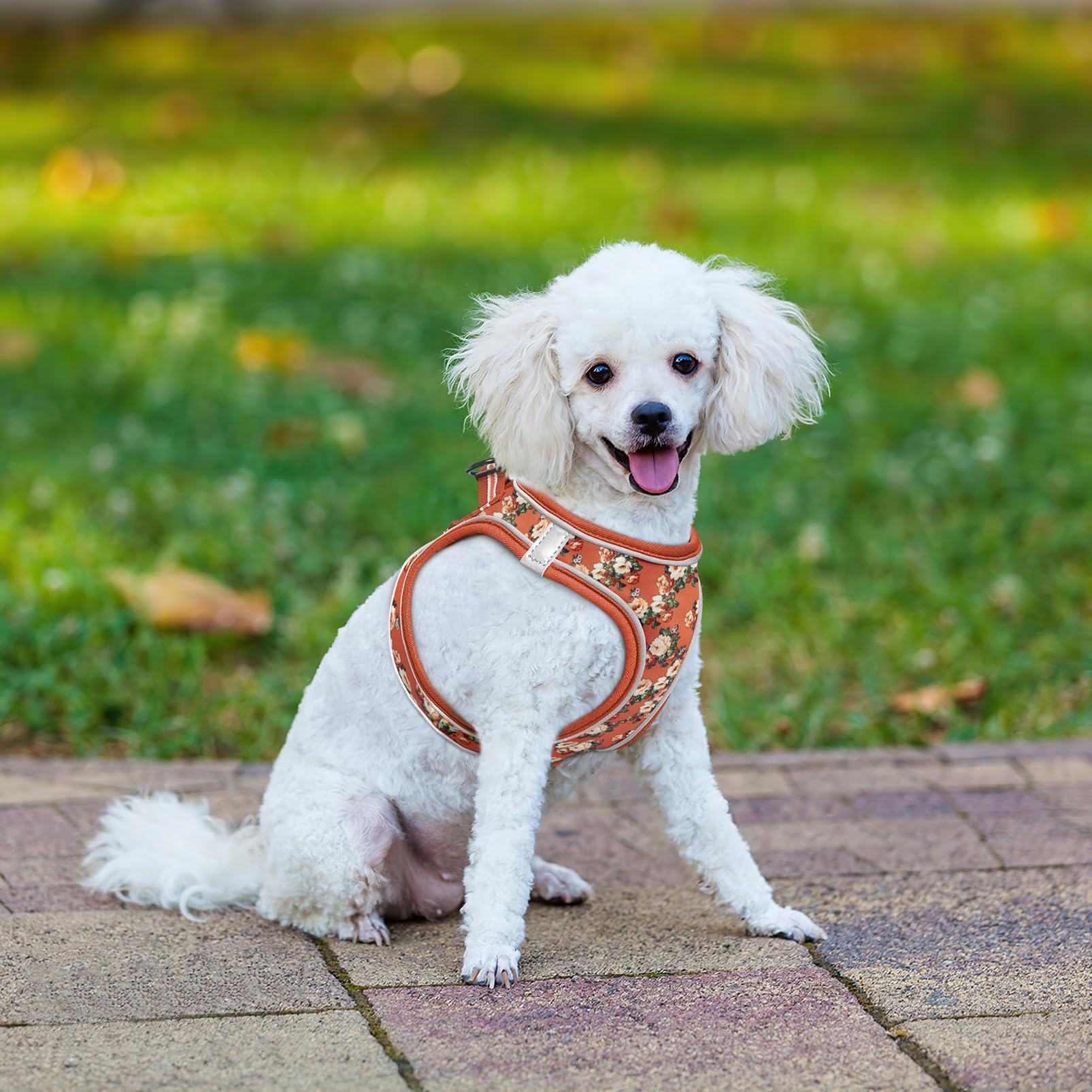 HEELE Dog Harness Small Dog Puppies Step-in Soft Mesh Anti-Escape - Image 4