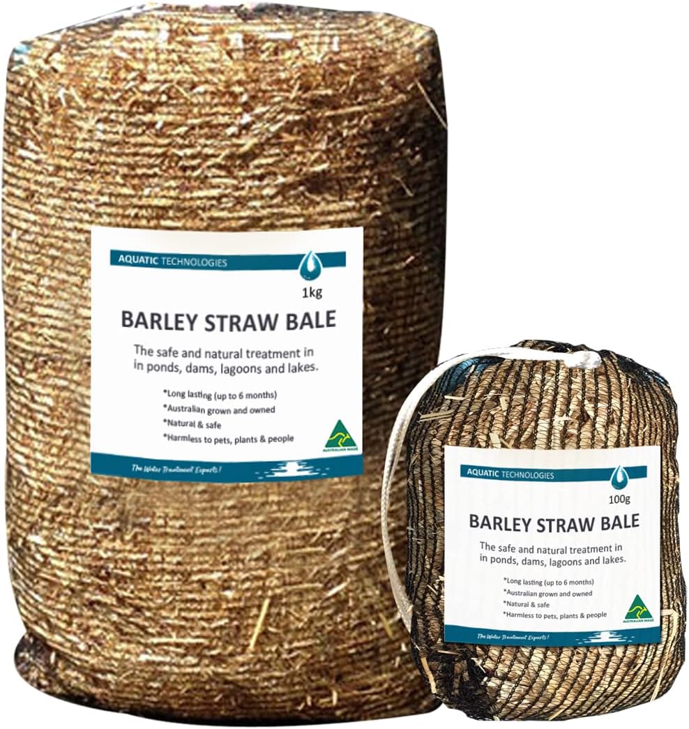 Aquatic Barley Straw Bales (1kg) Keeps Green Water Away, Algae