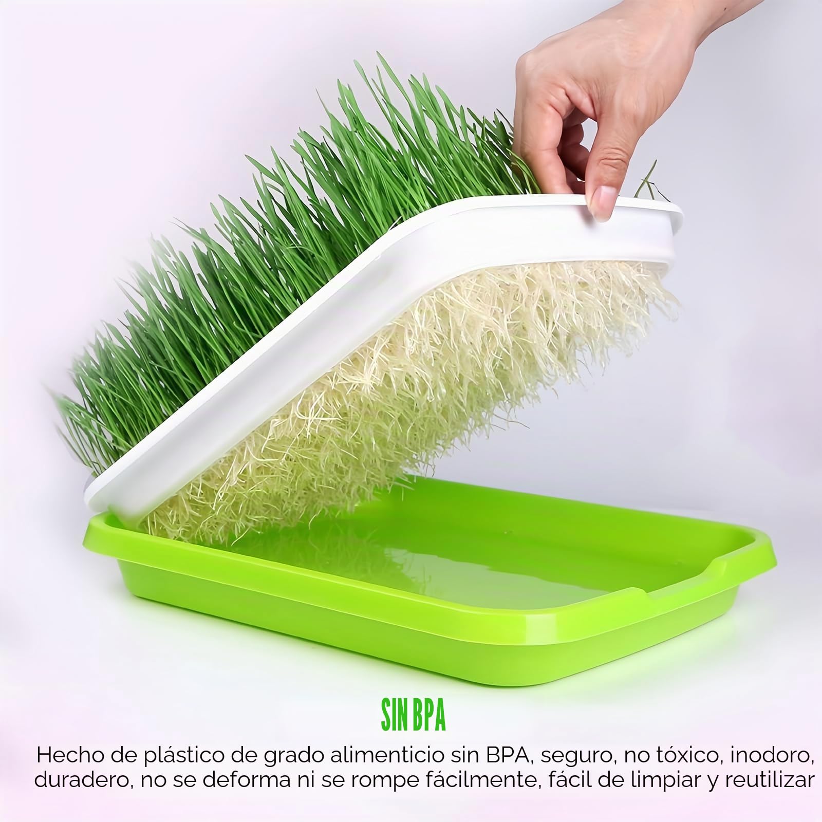 5 bandejas para brotes, juego de cultivo de brotes, berros, recipiente para germinar pasto de trigo, bandeja de germinación, para el cultivo de frijoles mungo alfalfa y hierba de trigo, 32,5 x 23,5 x