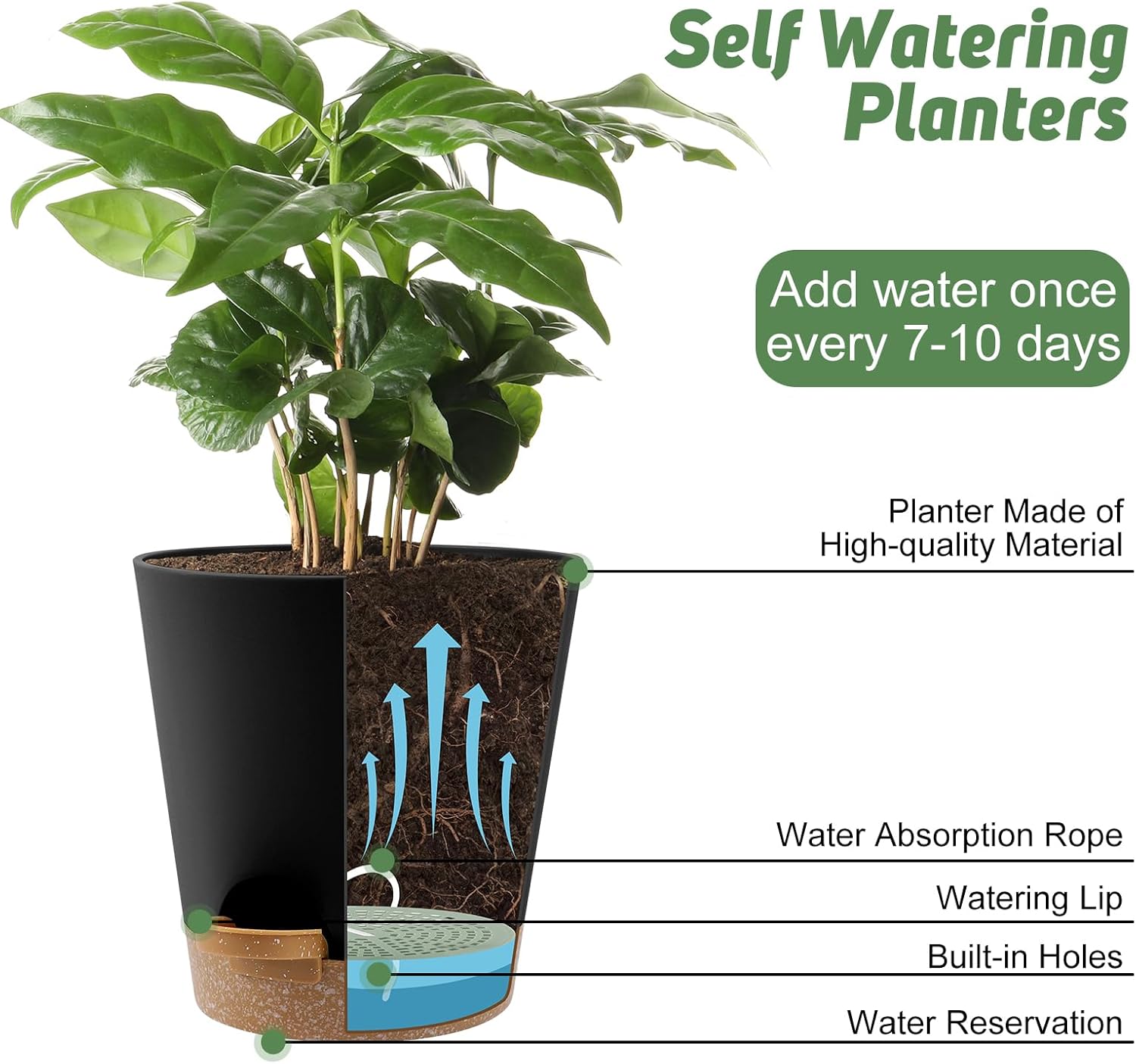 8-Inch Plant Pots, Self-Watering Planters with Drainage Holes & Saucers for Indoor and Outdoor Plants (2-Pack,Black) - Image 5