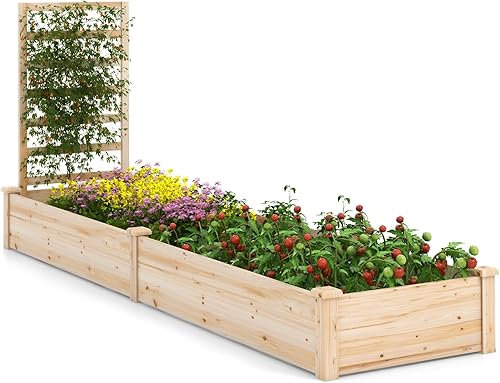 HAPPYGRILL Cama de jardĂn elevada con enrejado, maceta de madera con espacio dividido para verduras, flores, frutas, plantas trepadoras, cama de HAPPYGRILL Cama de jardĂn elevada con enrejado, maceta de madera con espacio dividido para verduras, flores, frutas, plantas trepadoras, cama de