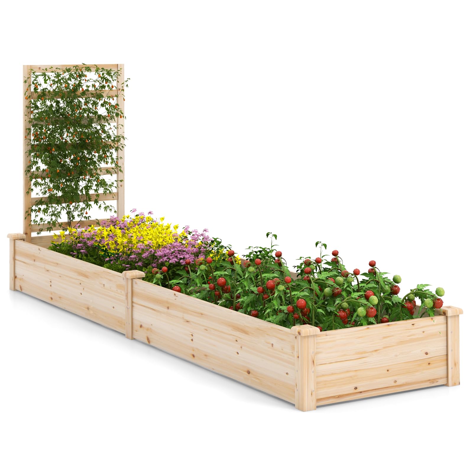 COSTWAY Raised Garden Bed with Trellis, Wooden Planter Box Kit for Climbing Vines Flower Herb Vegetable Fruit, Indoor Outdoor Backyard Plant Growing Box Container (235 x 63 x 102cm)