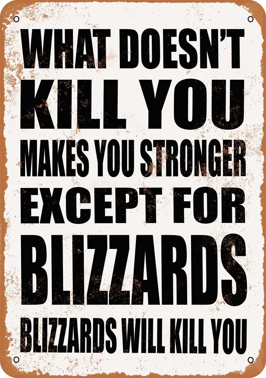 Metal Sign - BLIZZARDS Will Kill You - Vintage Look home decor