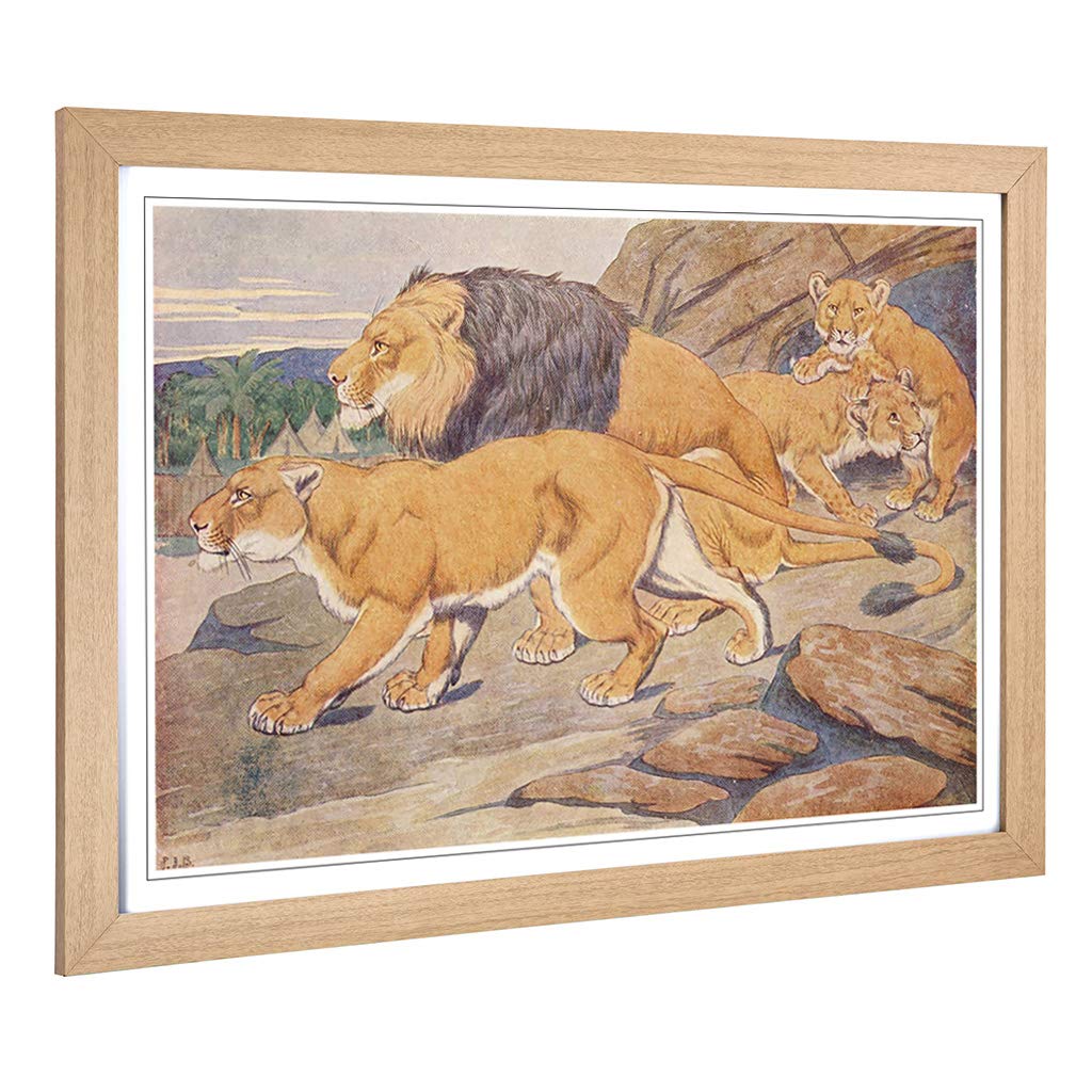 Big Box Art Framed Print of Vintage Percy J Billinghurst Lions Design | Wall Art Picture | Home Decor for Kitchen, Living Room, Bedroom, Hallway, Oak, A2 / 24.5x18 Inch / 62x45cm