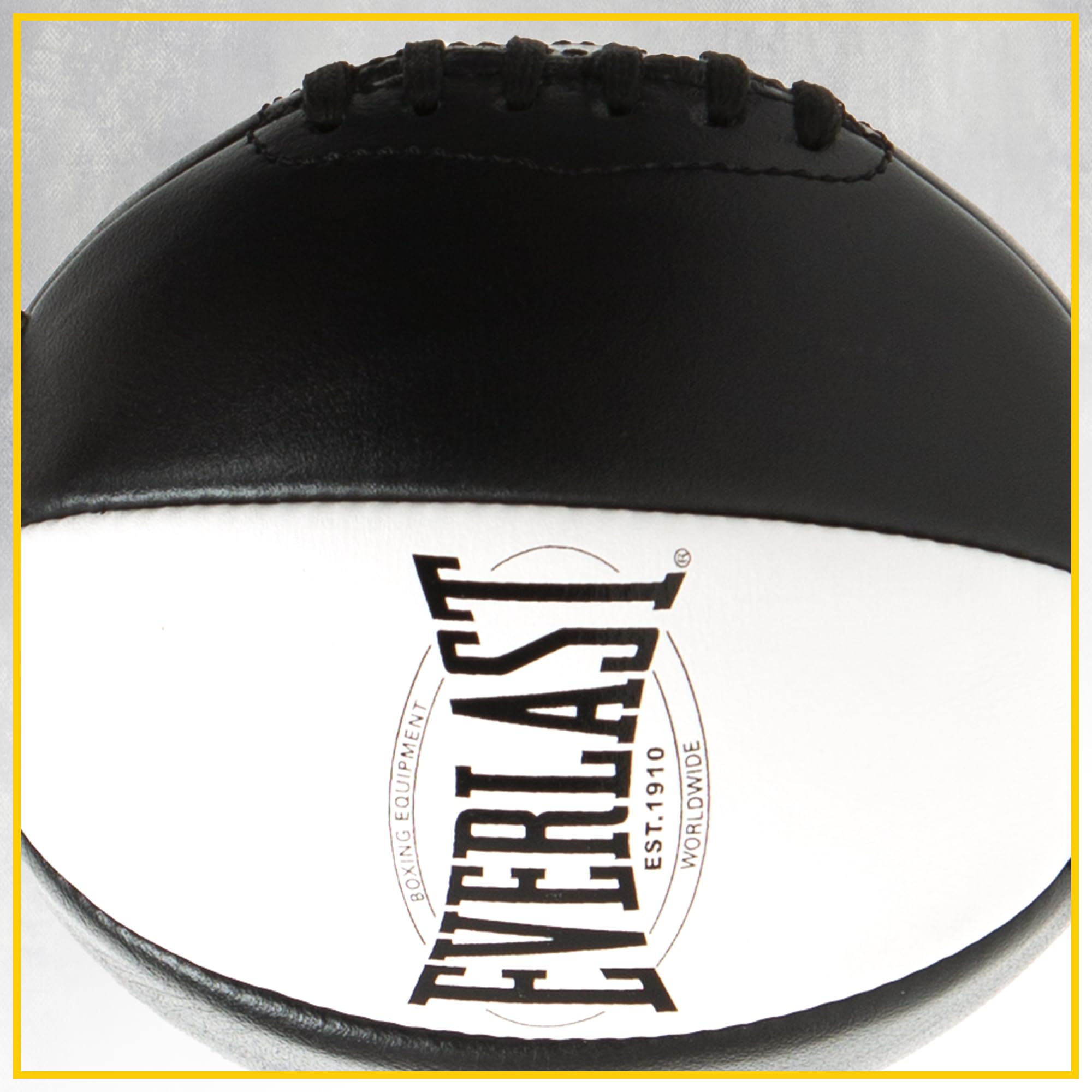 Everlast Unisex - Adult 1910 Double End Speed Bag Punching