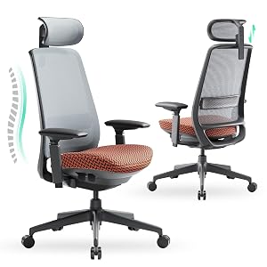 COLAMY Ergonomic Office Chair Mesh Desk Chair with High Back Lumbar Support Adjustable Headrest and 4D Arms Slide