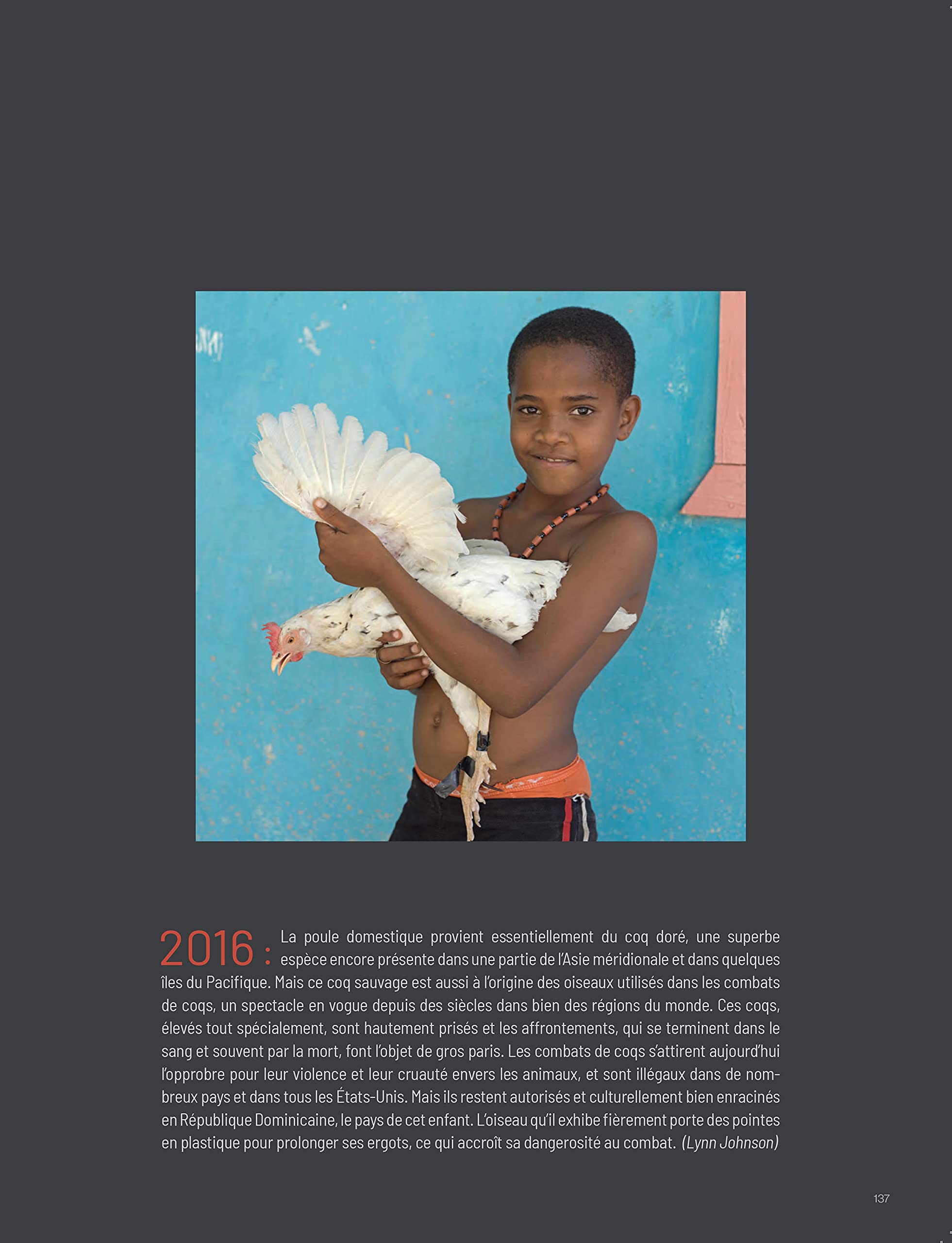 La grande & belle histoire des oiseaux: 130 ans d'images d'archives & de photographies de National Geographic