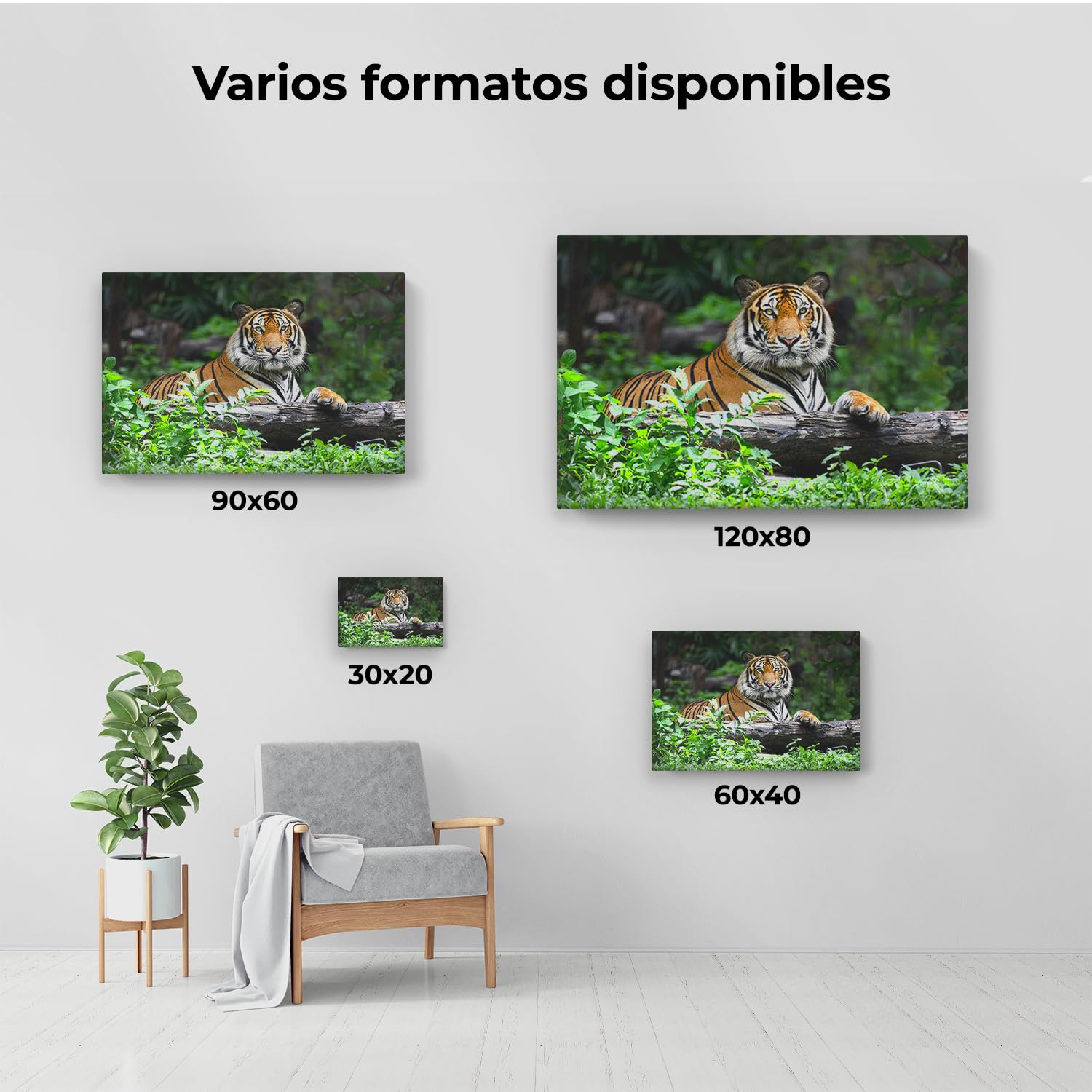 Artaza Cuadros Decoración Salón Modernos Tigre - 60x40 cm - Cuadros Animales - Decoración Pared - Lienzos - Selva