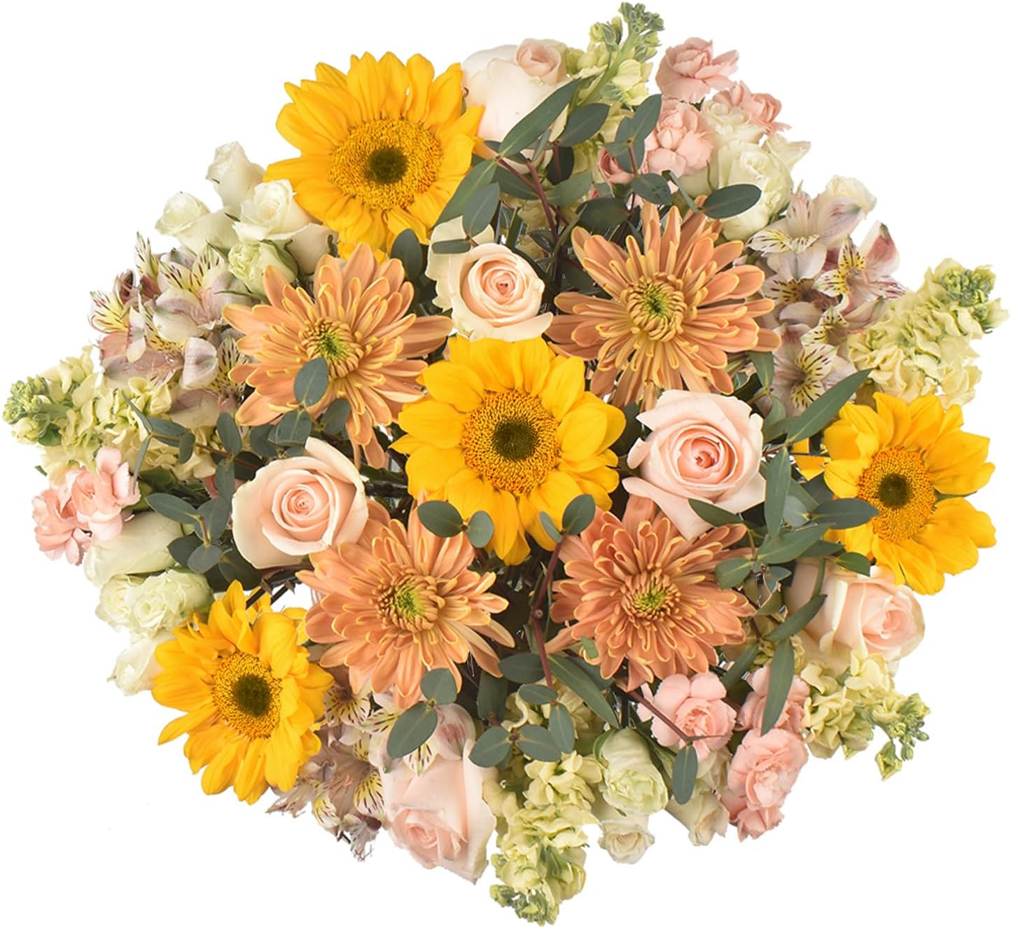 Floral Compass by Nature’s Flowers - Symbolism Flower Bouquet - Prime Eligible, 30+ Fresh Cut Flowers for Delivery, No Vase