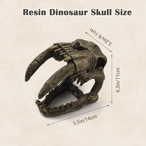 PINVNBY Reptile Resin Dinosaur Skull Decor,Crested Gecko Tank Accessories Hide Artificial Sabertooth Tiger Skull Skeleton Climbing Hideout Cave Landscape Decorations