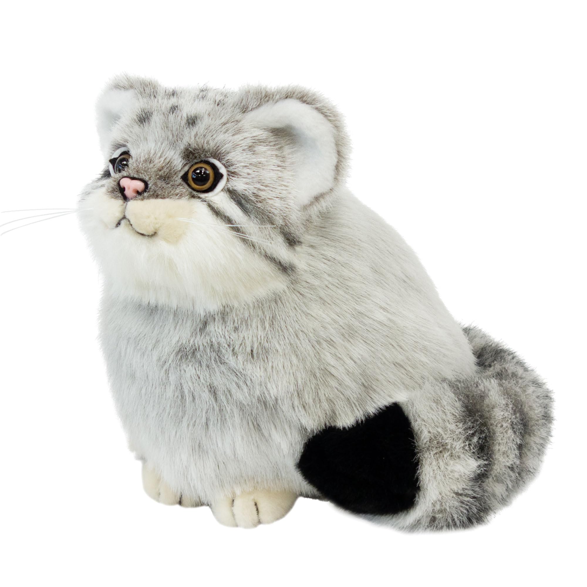 Amazon.co.jp: 吉徳 りくのなかまたち ぬいぐるみ マヌルネコ 180347