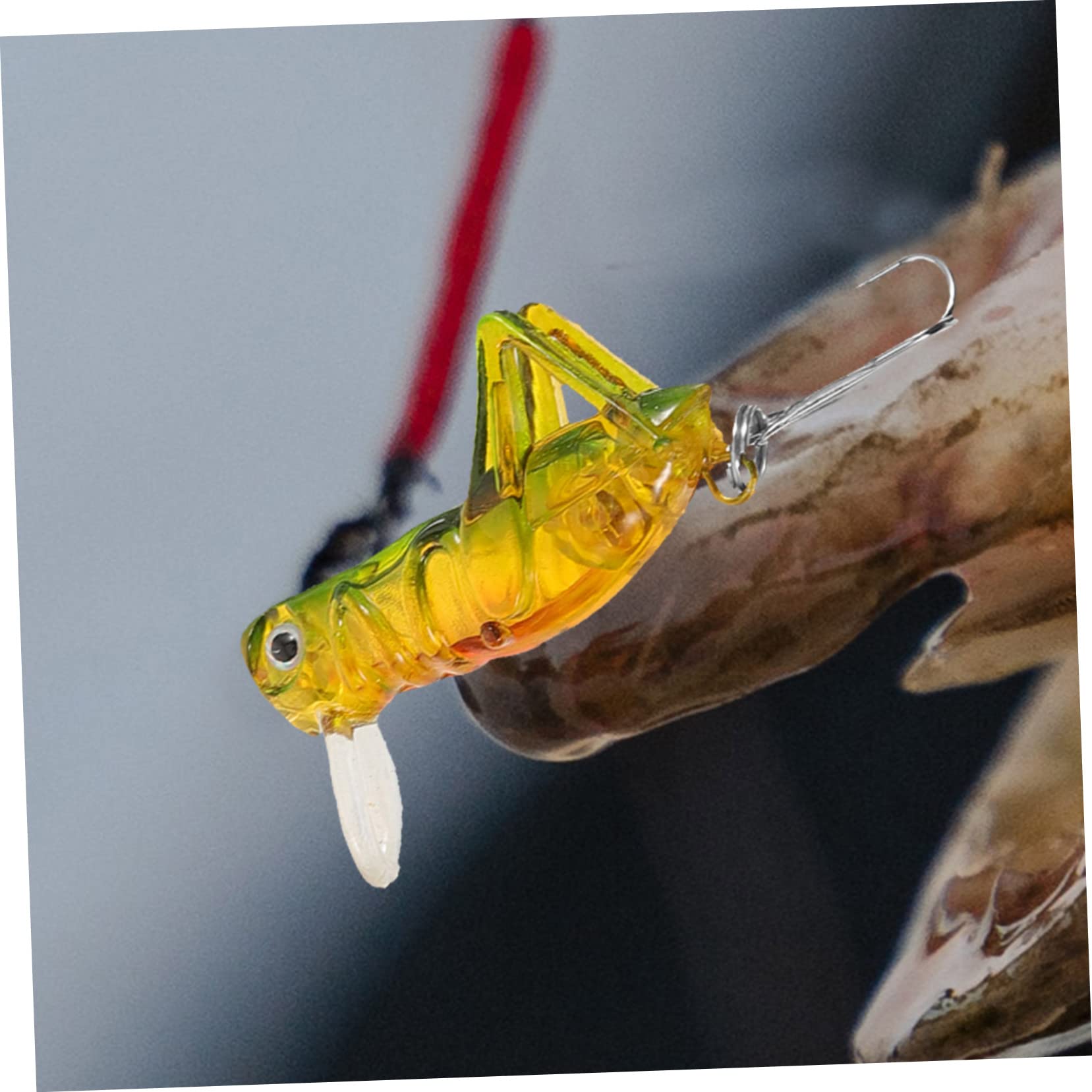 Toyvian Esca Simulata della Cava di Cavalletta Imitazioni di Esche da Pesca Attrezzatura Esca per Pescare La Pesca del Richiamo Esca per Pesci di Simulazione Metallo