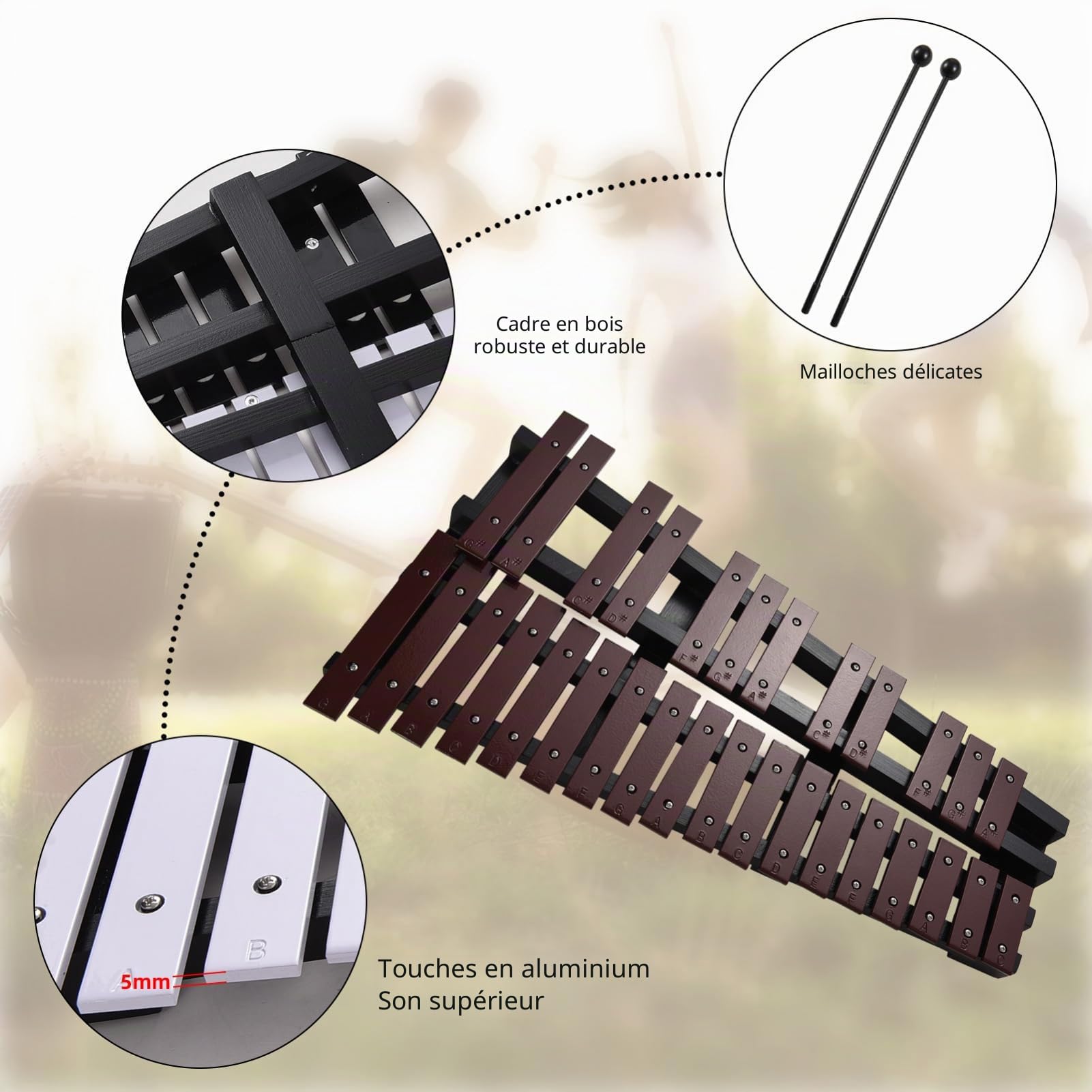 Naroote Adulte Instrument Xylophone en Bois Glockenspiel Instruments De Musique Instrument De Musique Adulte 30 Notes avec Touches en Aluminium de 5 Mm d'épaisseur Instruments