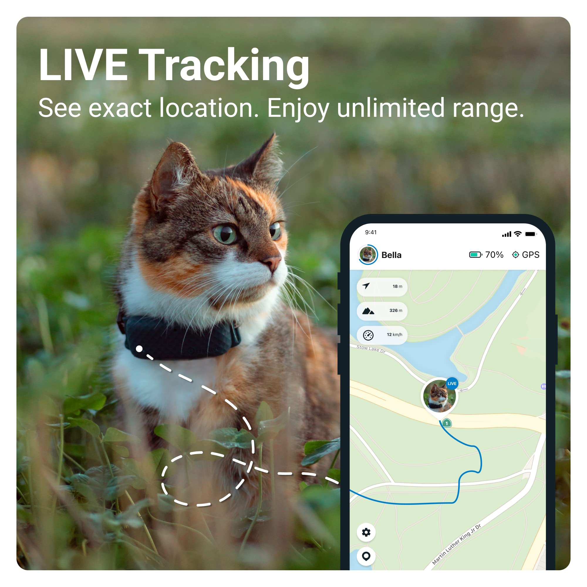 cat gps jiobit for cats Cat location collar store
