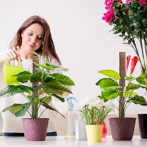 Miniatura 6 de Macarrie Paquete de 10 postes de musgo para plantas, estacas de soporte de musgo Monstera, estacas apilables, palo de tótem de musgo de fibra de