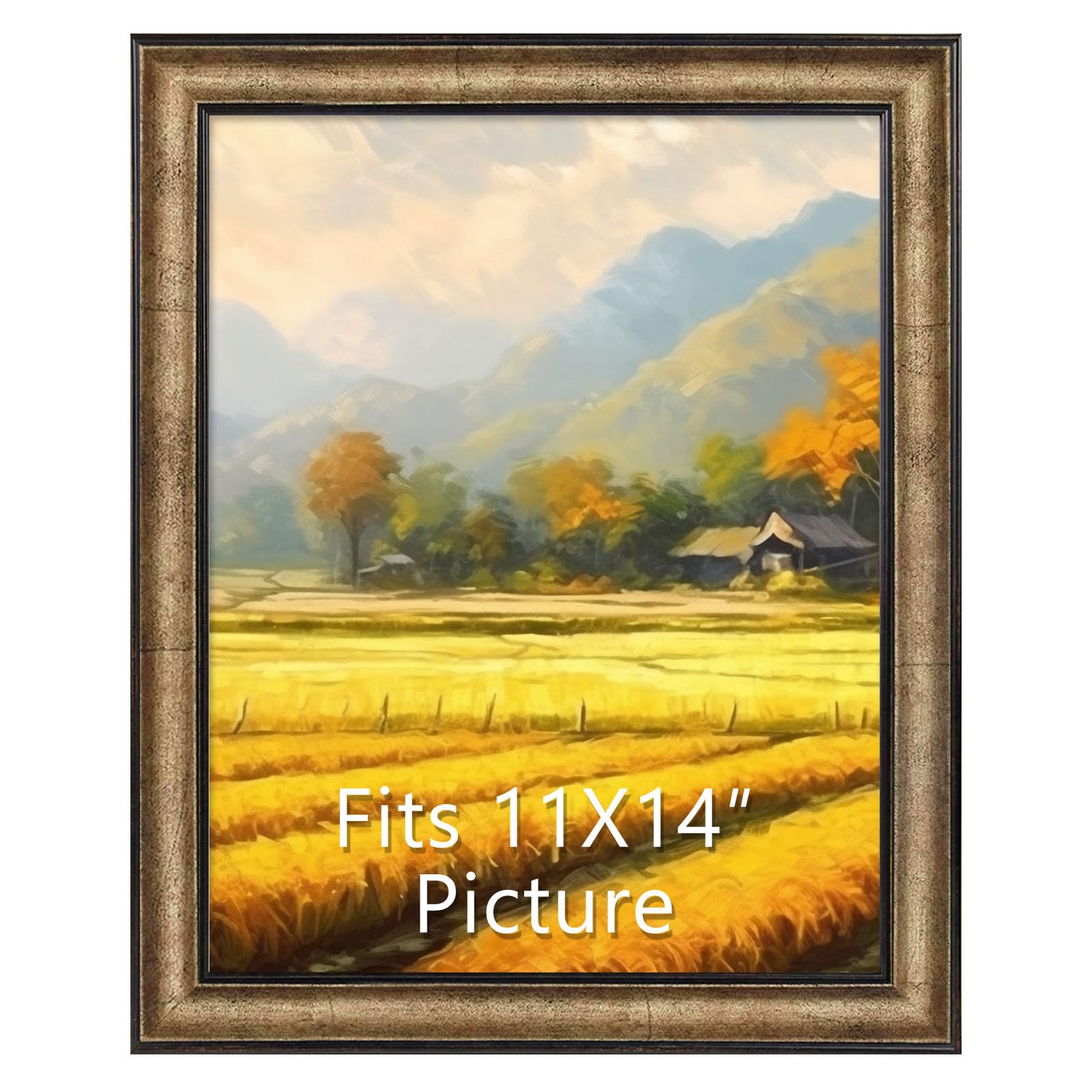 Space Art Deco, 11x14 Poster Frame Antique Gold - Display 11x14 Pictures Without Mat, Horizontal or Vertical Wall Gallery Frame with Real Glass for Artworks