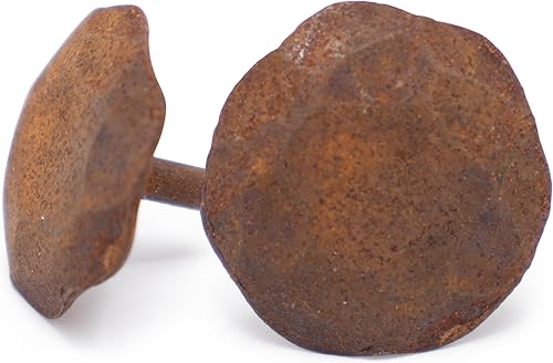 Miniatura 1 de Paquete de 10 clavos decorativos pequeños de 0.75 pulgadas, cierres de persiana oxidados, tachuelas de uñas decorativas para persianas de ventanas