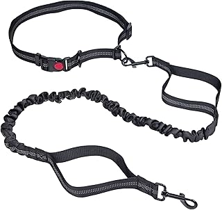 Pamiou Hands Free Dog Leash for Running Walking Training Hiking, Double Padded Handles and Reflective Bungee , Adjustable Waist Belt, Shock Absorbing, Ideal for Small to Large Dogs (Black)