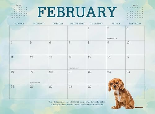 Miniatura 5 de Calendario 2024 - Perros adorables Un año de hechos caninos, trivias, cachorros, bulldog francés, terrier, golden retriever, laboratorio, cocker