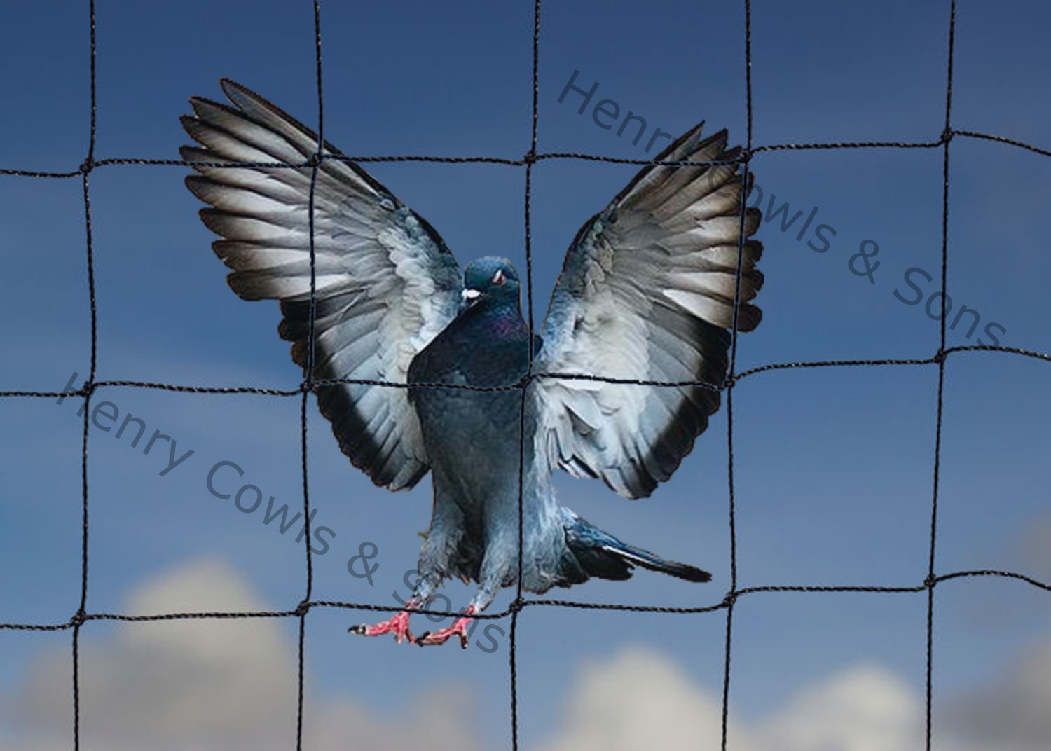 Bird Netting For the Garden 5m x 15m 50mm 2" Anti Pigeon Knotted Mesh Heavy Duty Black Net Protection