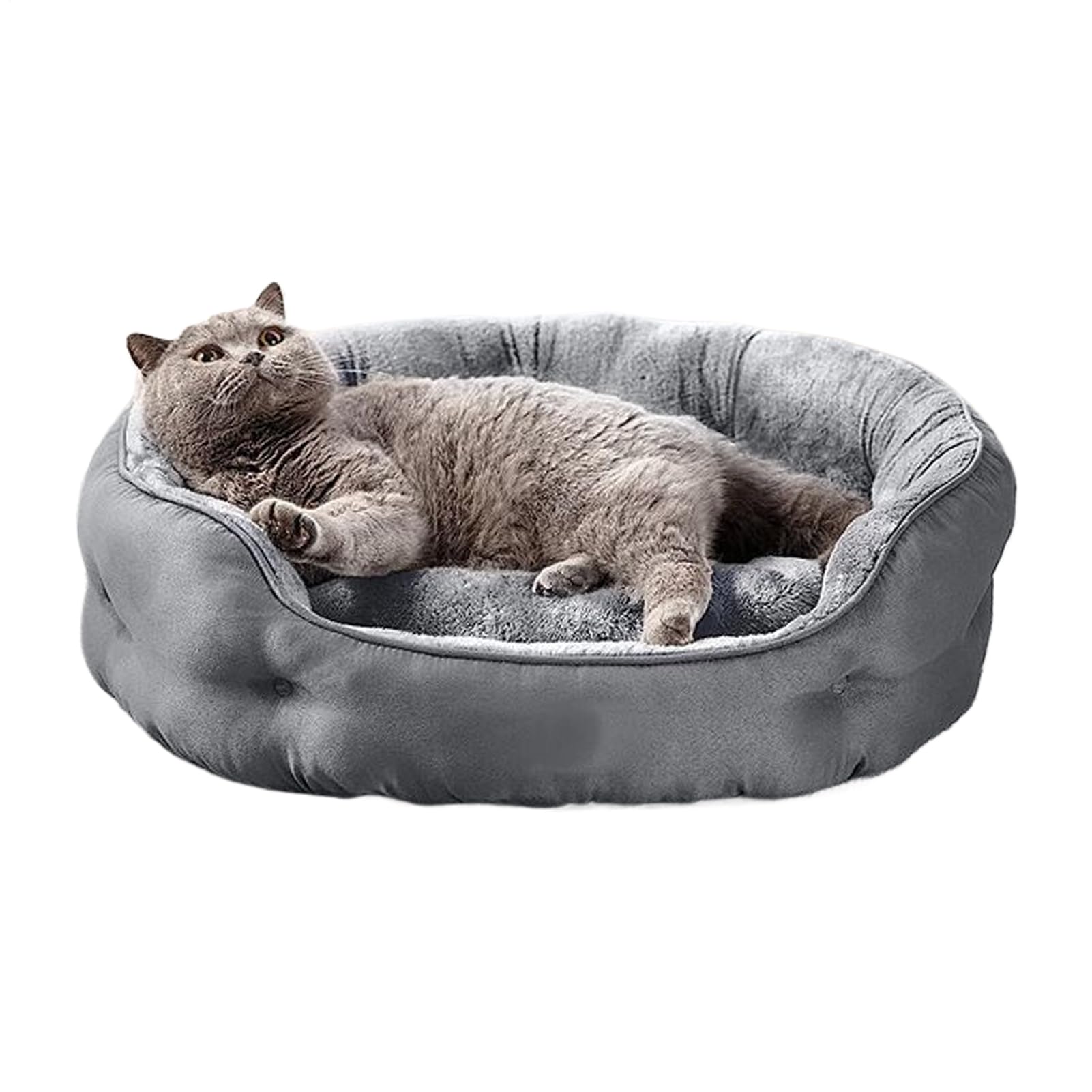 Canapé pour chat et lit chaleureux pour les siestes au salon