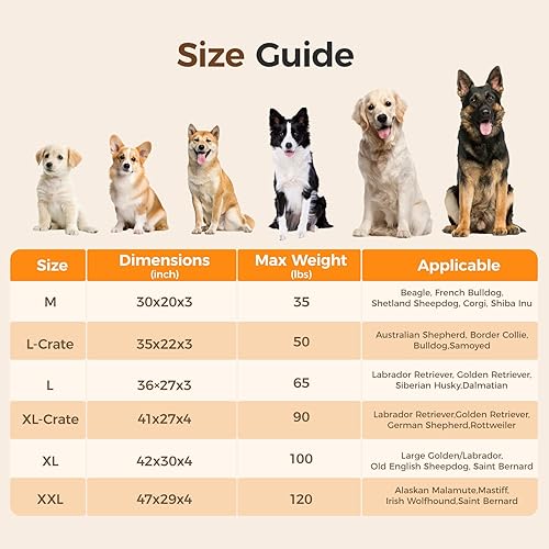 Orthopedic Dog Bed for Medium Dog — close-up of materials and construction quality