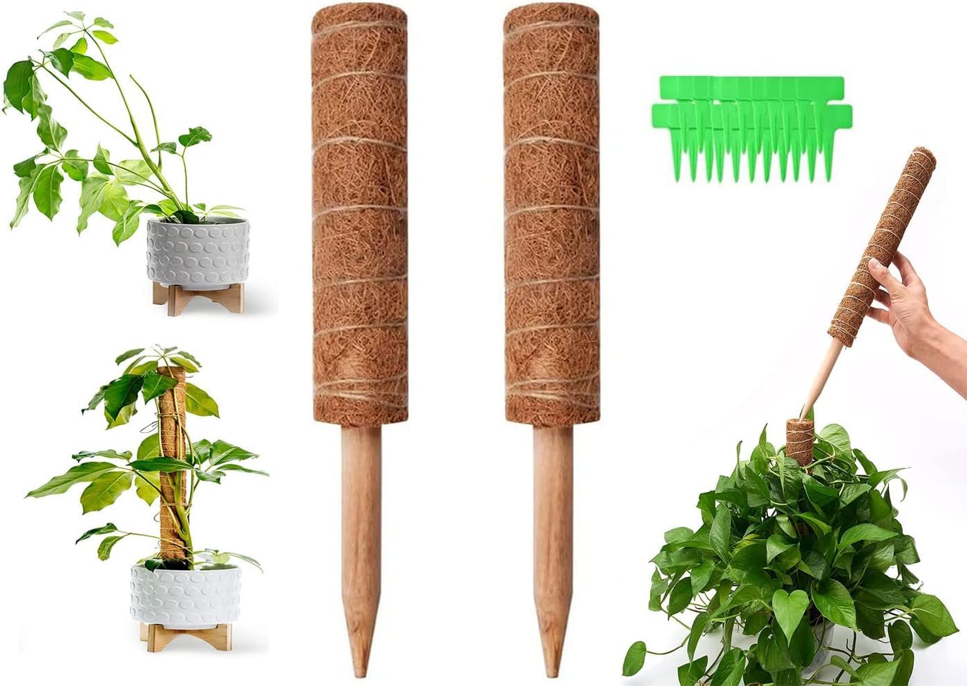 AzoneeCoir Moss Pole, 30cm Coco Coir Poles with Gardening Tool Set, Natural Coir Moss Sticks for Plant Support Extension, Climbing Indoor Plants, Creepers, Pack of 2