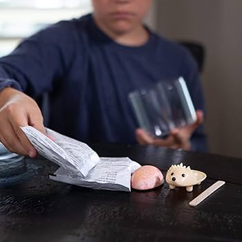 Amazon.co.jp: Fat Brain Toys クリスタル成長ハリネズミ