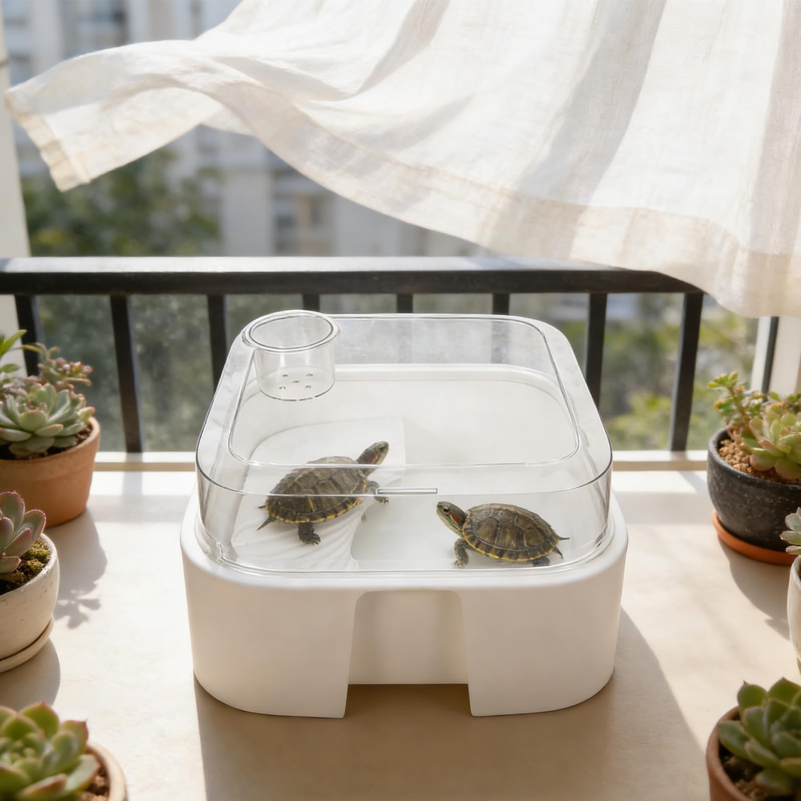 Acquario per Tartarughe Piccolo in Plastica con Coperchio e Piattaforma per Crogiolarsi, Vasca per Rettili Anti-fuga 30x30x16 Cm, Recinto Compatto per Tartarughe D’acqua e Habitat