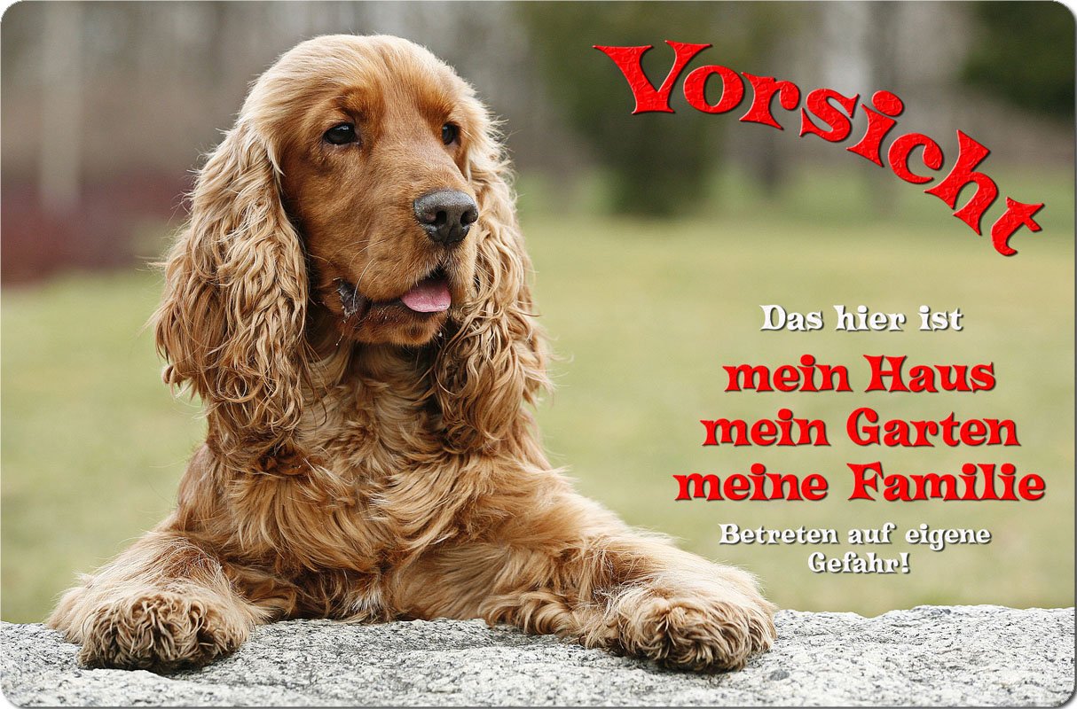 Deutsch Kurzhaar Warnschild – Aluminium Schild 30,5 X 20 Cm, Mit Hundewarnung, Metallschild DKR 08 T3