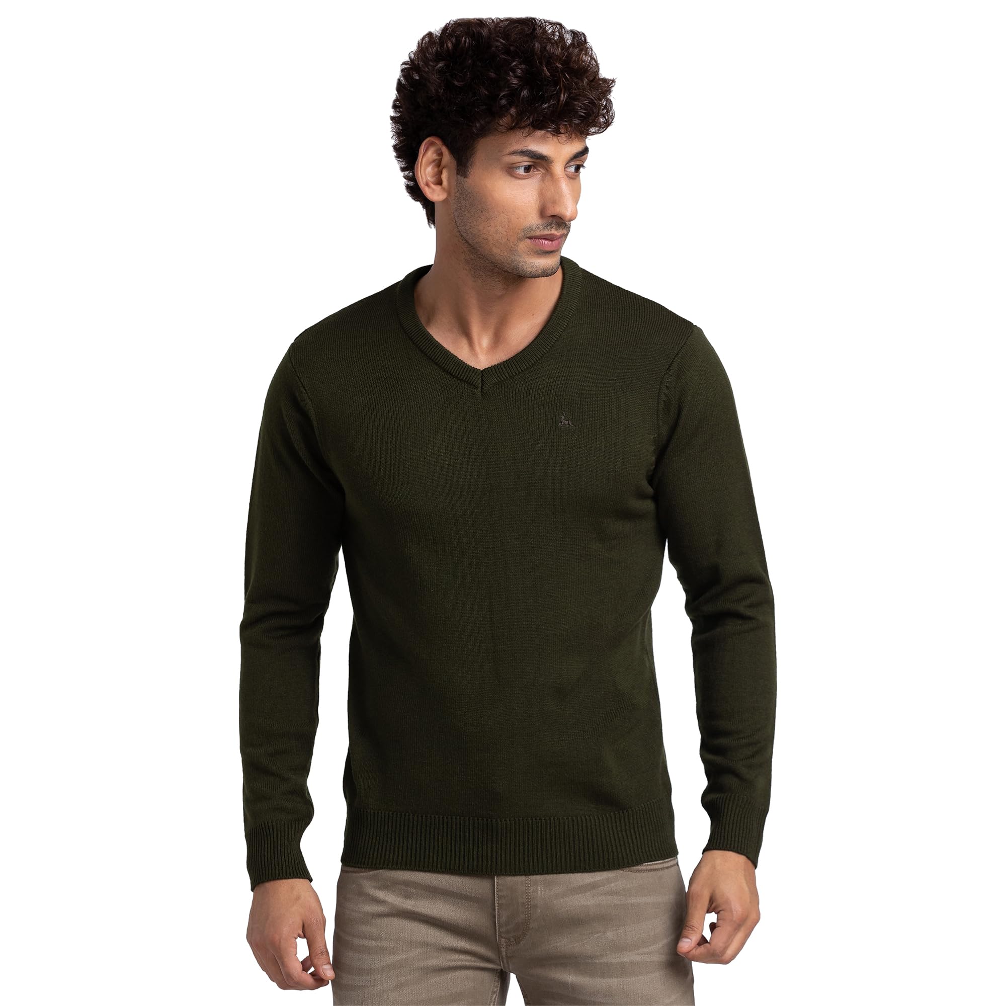 Men Regular Fit Solid Pattern Pure Acrylic Full Sleeve V Neck Casual Sweater