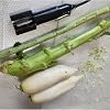 JOSBY Automatic Sugarcane Scraping Machine, 120W Commercial Electric Peeler, Coconut Peeler, Precise Peeling, No Damage To Fruit, 1000-10000 Rpm, for Coconut, Pumpkin, Winter Claw, Taro, Pineapple