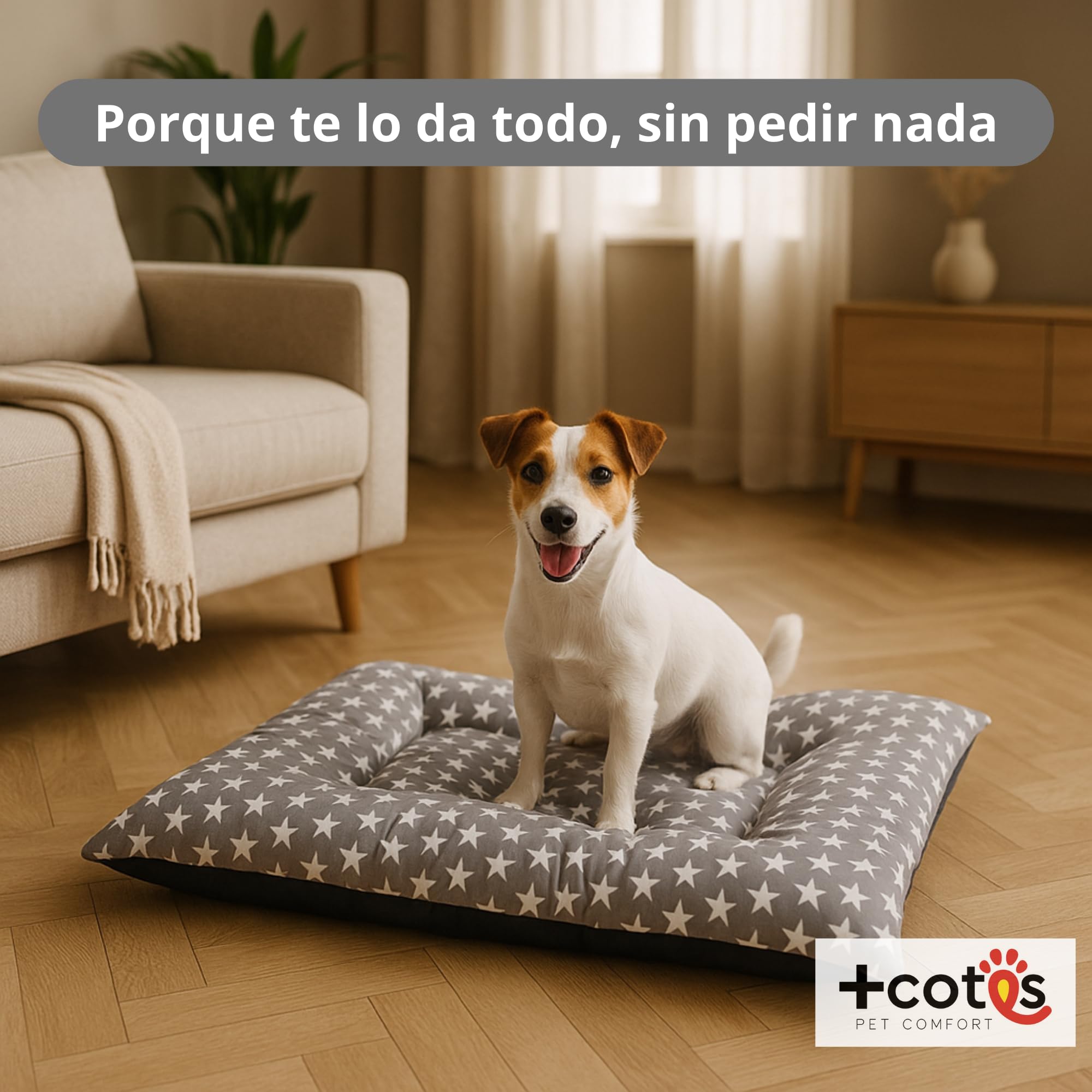 Cama Cachorro Perro Pequeño Espuma Acolchada Colchoneta Tacto Suave Tejido Transpirable Base Antideslizante Funda de algodón loneta Ligera cómoda Lavable Fácil de Transportar 45X65X5 Estrellas +Cotes