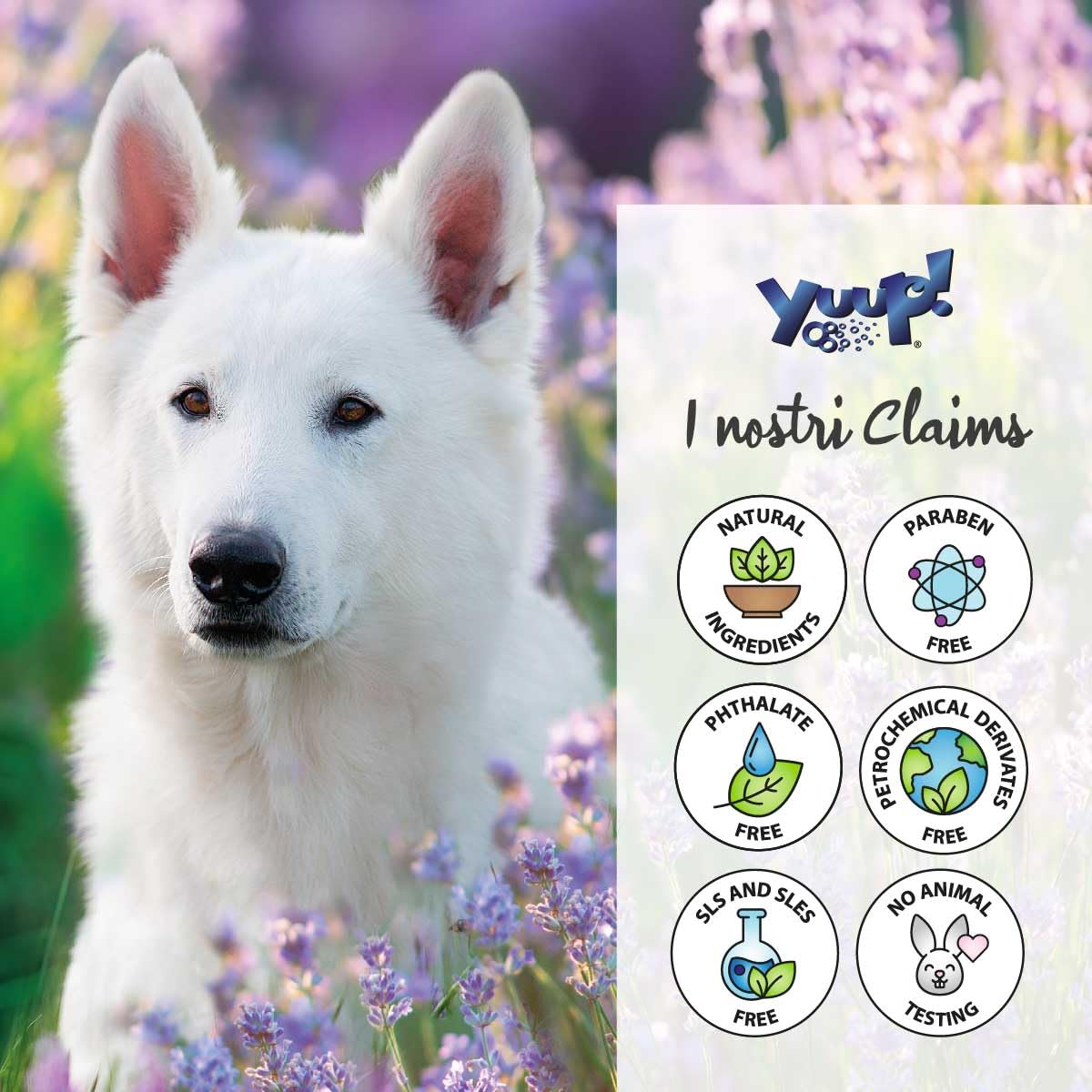 YUUP! - Shampoo secco per cani e gatti senza risciacquo, detergente in schiuma, per tutti i tipi di pelo, 150 ml