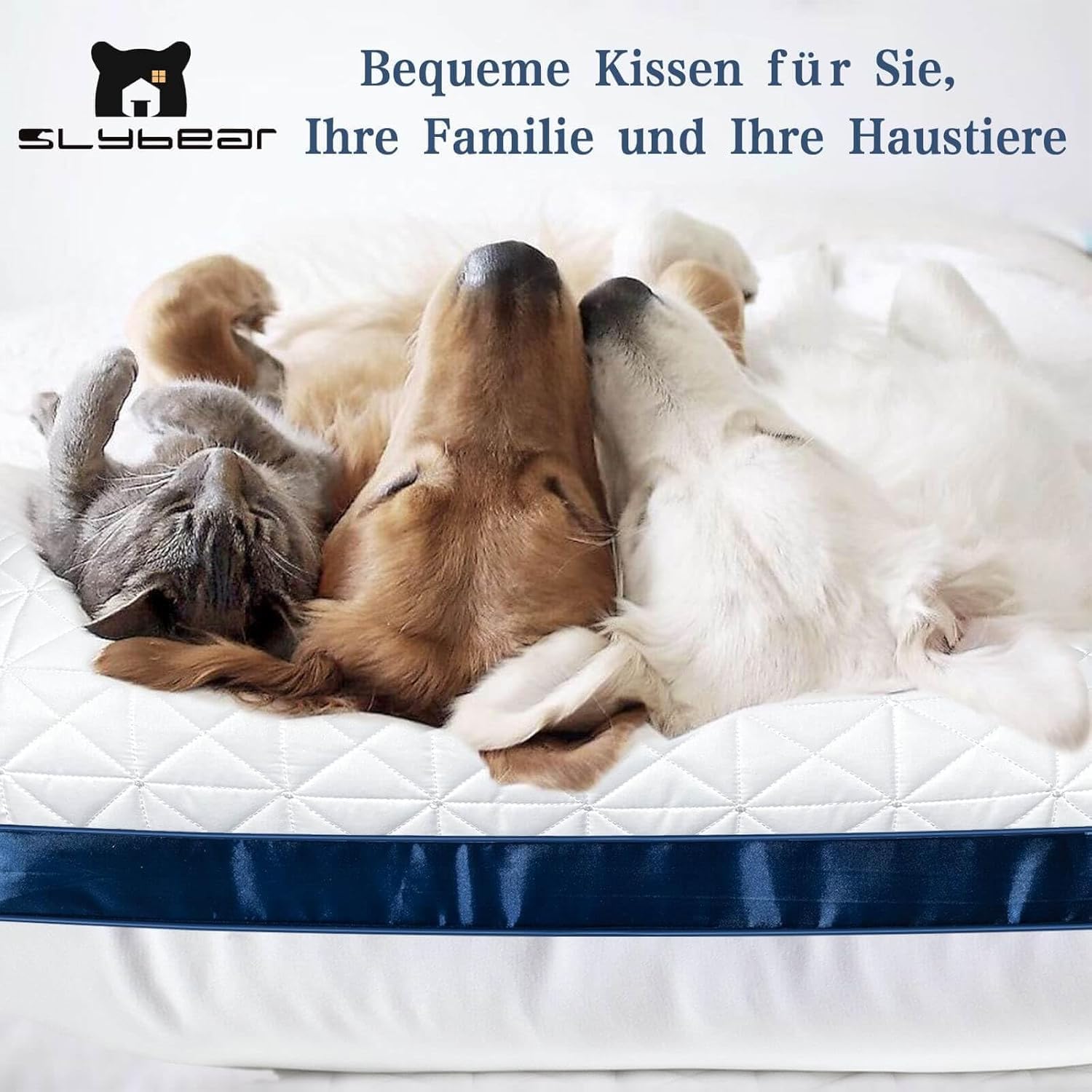 Kissen Kopfkissen 80x80 cm 2er Set,2X orthopädisches Seitenschläferkissen Nackenkissen mit Premium Mikrofaser Füllung, atmungsaktives Sitzkissen Sofakissen Schlafkissen weich & stützend