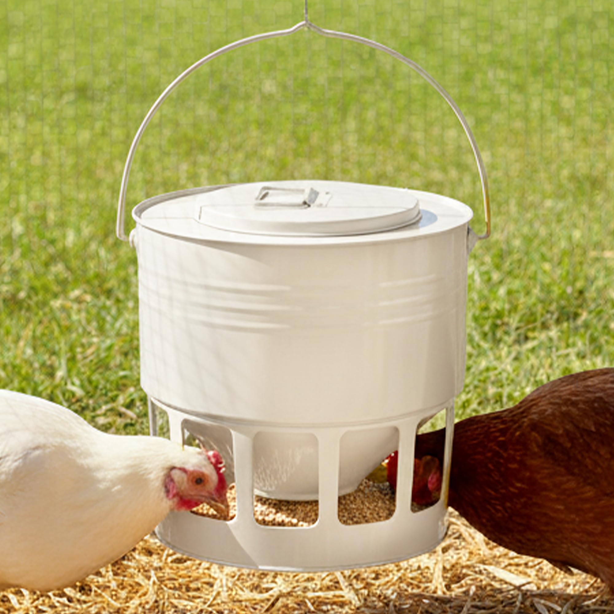 KOL Hanging Chicken Feeder