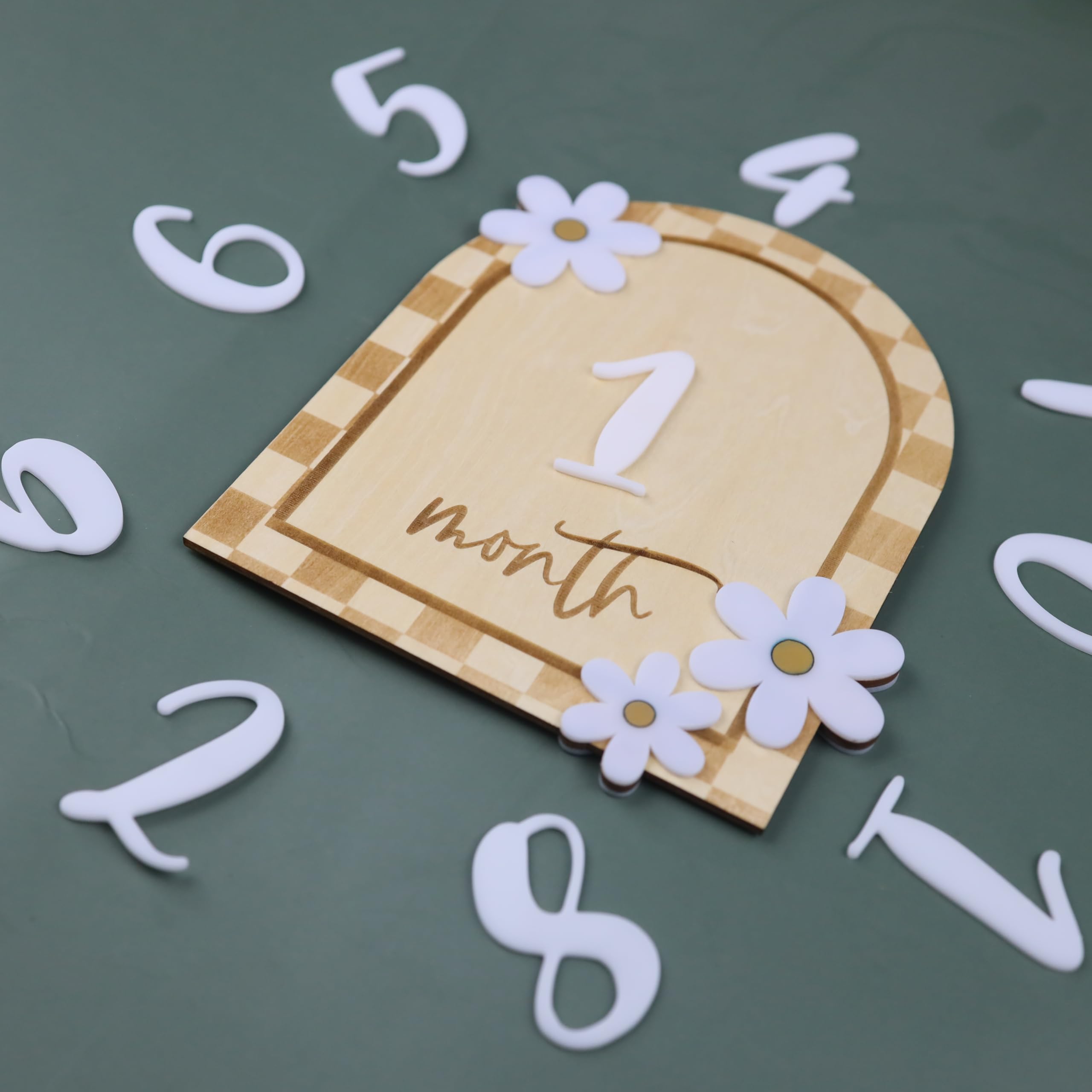 Baby Monthly Milestone, Wooden Baby Milestone Signs, Monthly Milestone Wood Discs, Baby Milestone Discs, Baby Photo Props Cards Interchangeable Number Set of 12 for Baby Growth Recording (Caro Card)