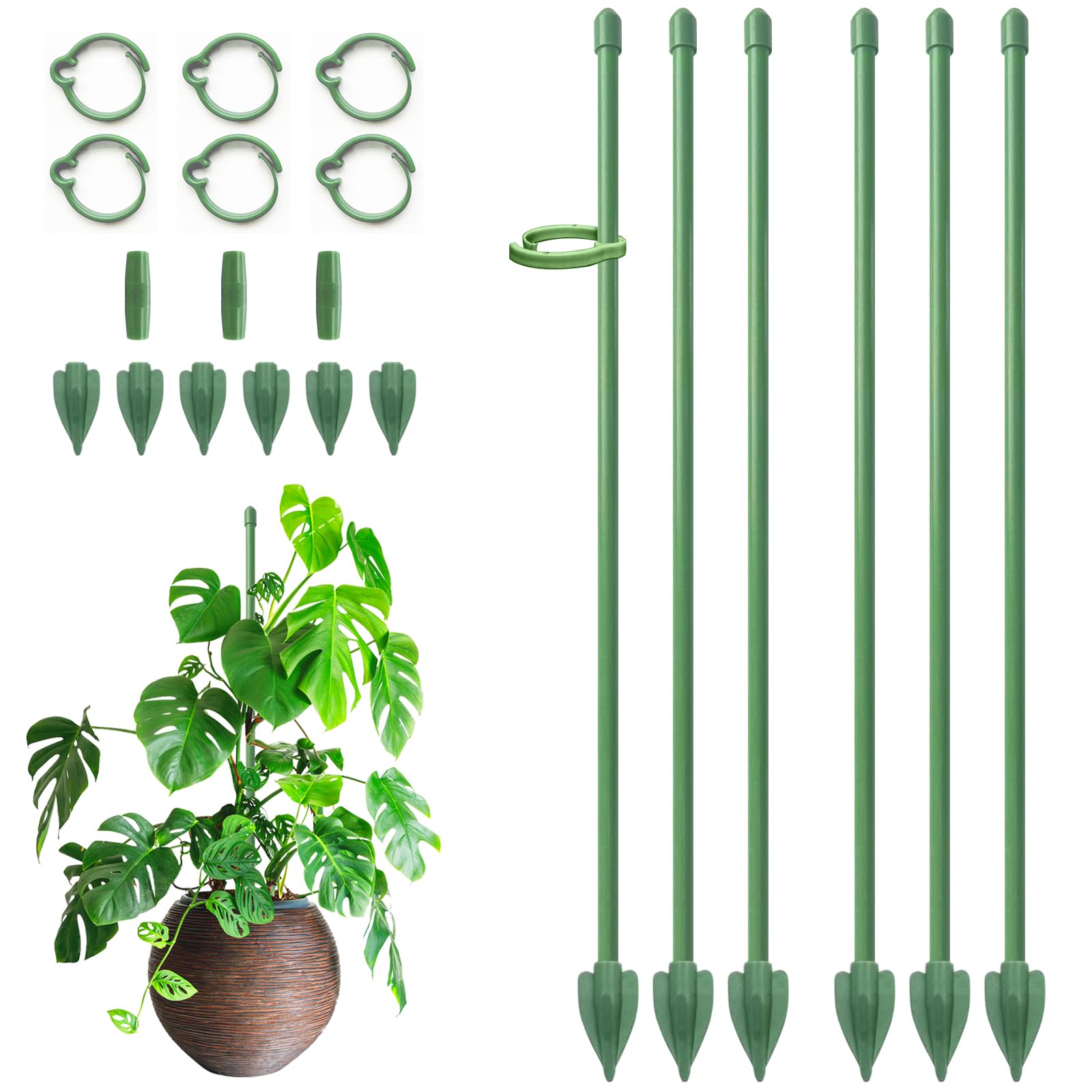 wall hanging plant containers Danya B Tivoli 2-Piece Metal Hanging Planter Set