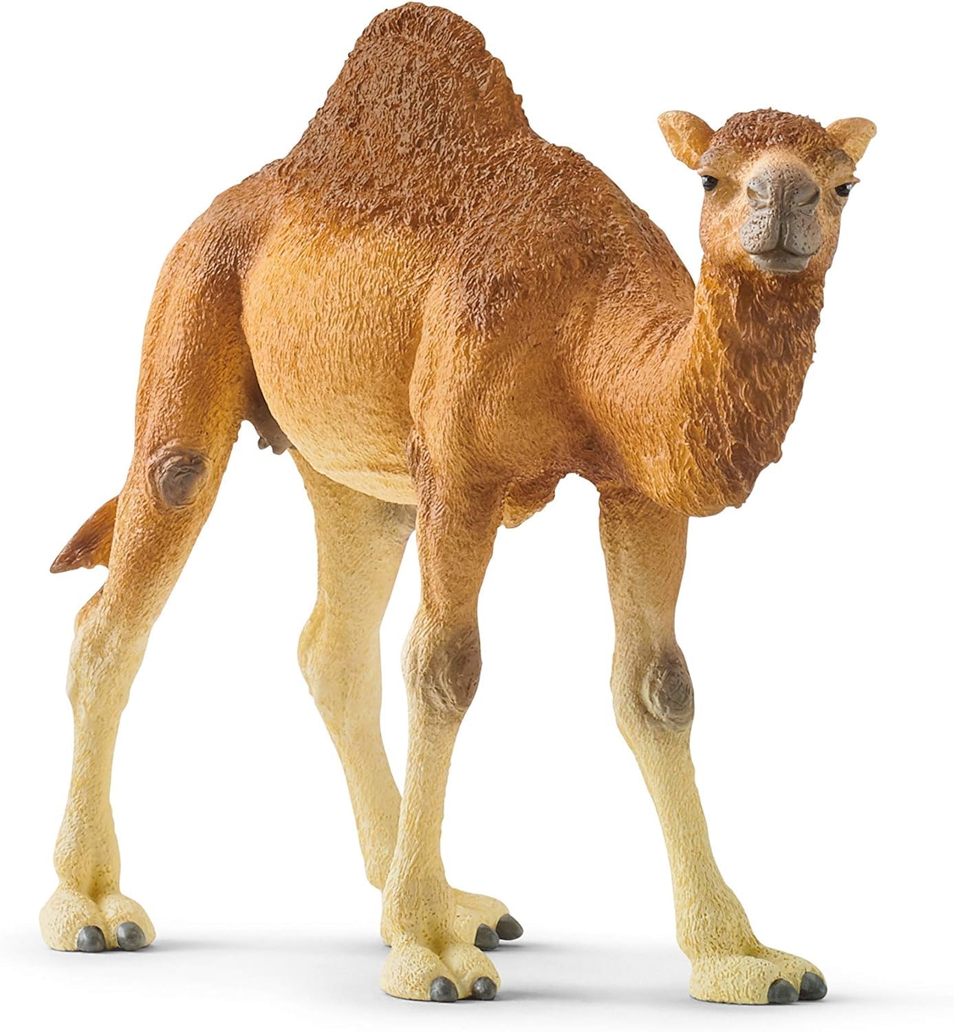 SCHLEICH Wild Life Arabian Camel Dromedary Toy Figurine for Kids Ages 3-8 with 1 Hump