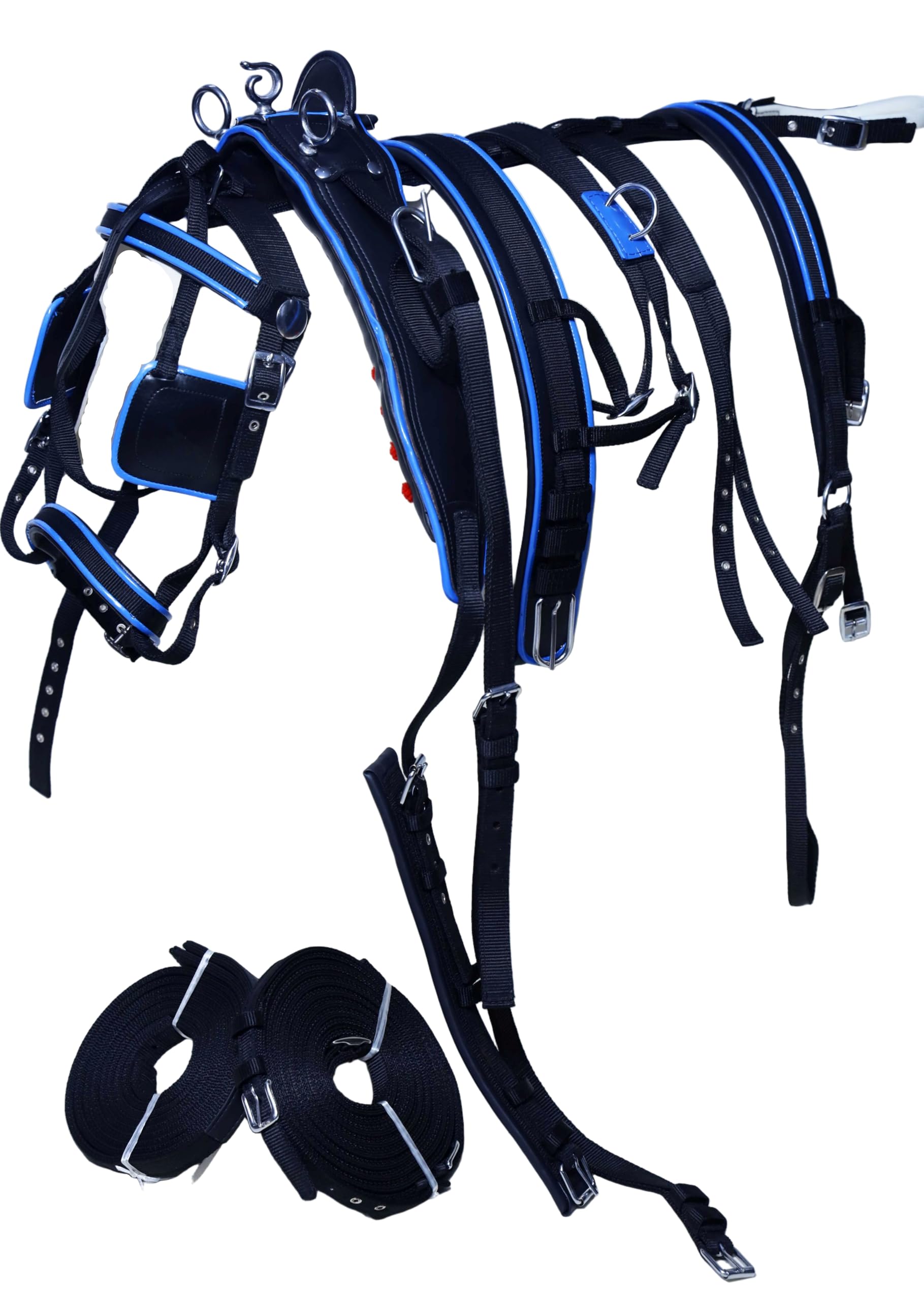 Harnais de conduite en nylon pour chariot de cheval Noir/bleu (Mini Shetland)
