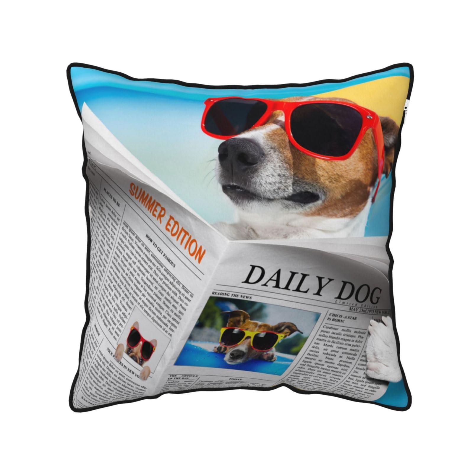 FZGGWYHL Dog with Glasses Reading Newspaper Ocean Beach printed Velvet Throw Pillow Cover Pillowcase
