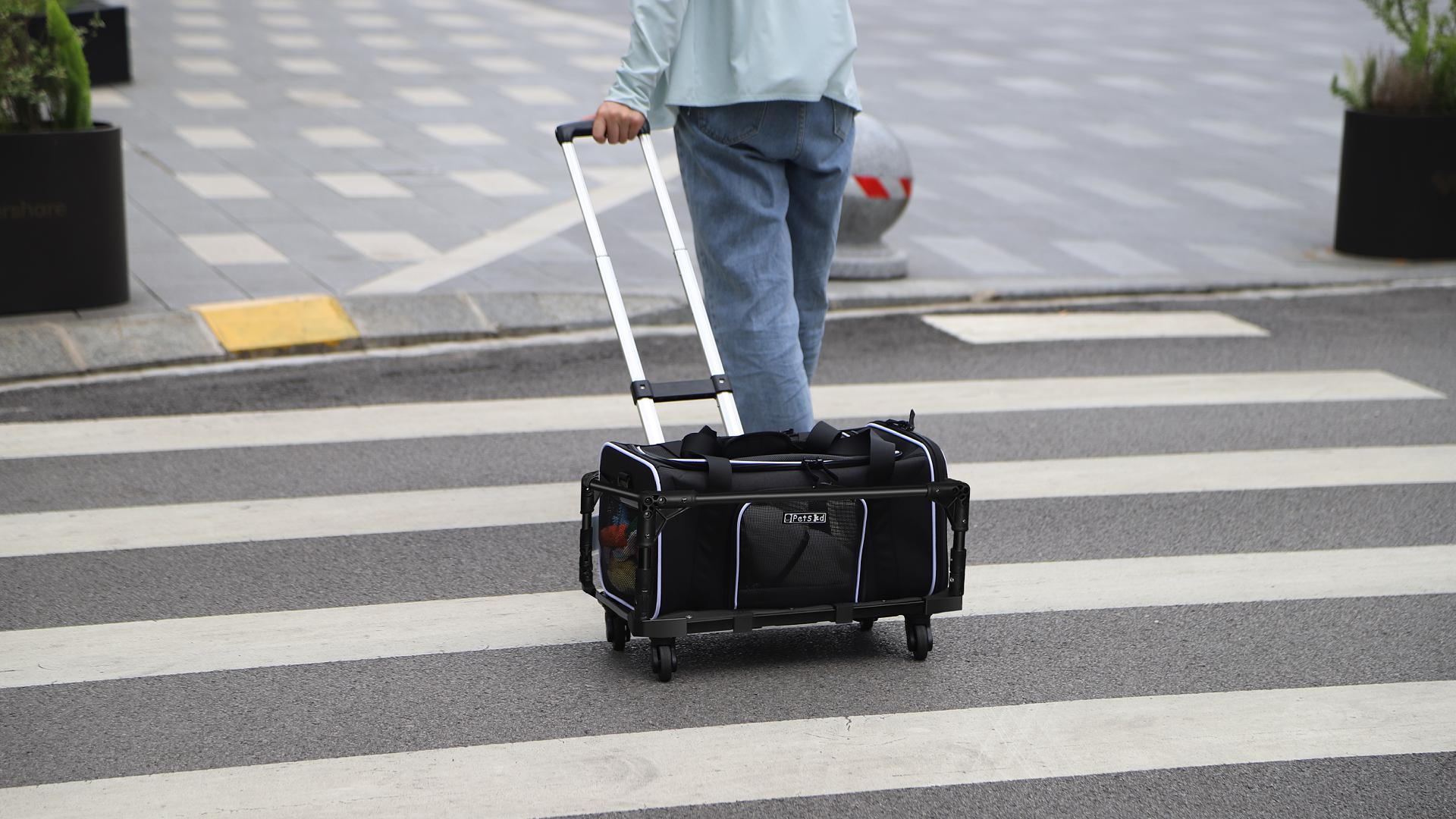 Amazon.com : Petskd Small Pet Carrier 18