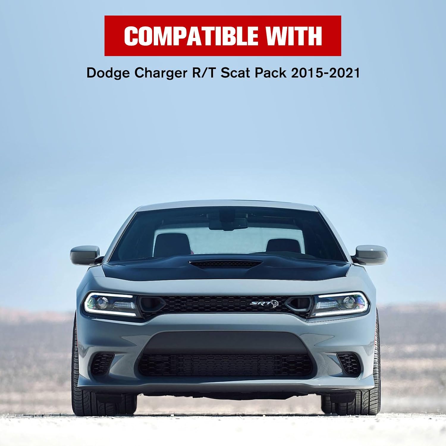 Front Bumper Grille Inserts Mesh Trim Bezel Decor for Dodge Charger R/T Scat Pack 2015-2021 Exterior Accessorie, Black, 2PCS