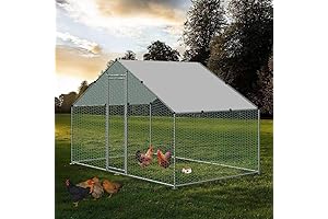 Large Outdoor Aviary for Keeping Birds and Animals