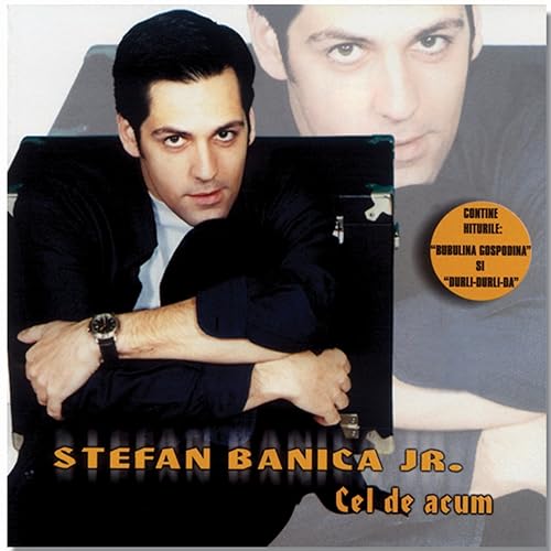 stefan banica bubulina gospodina