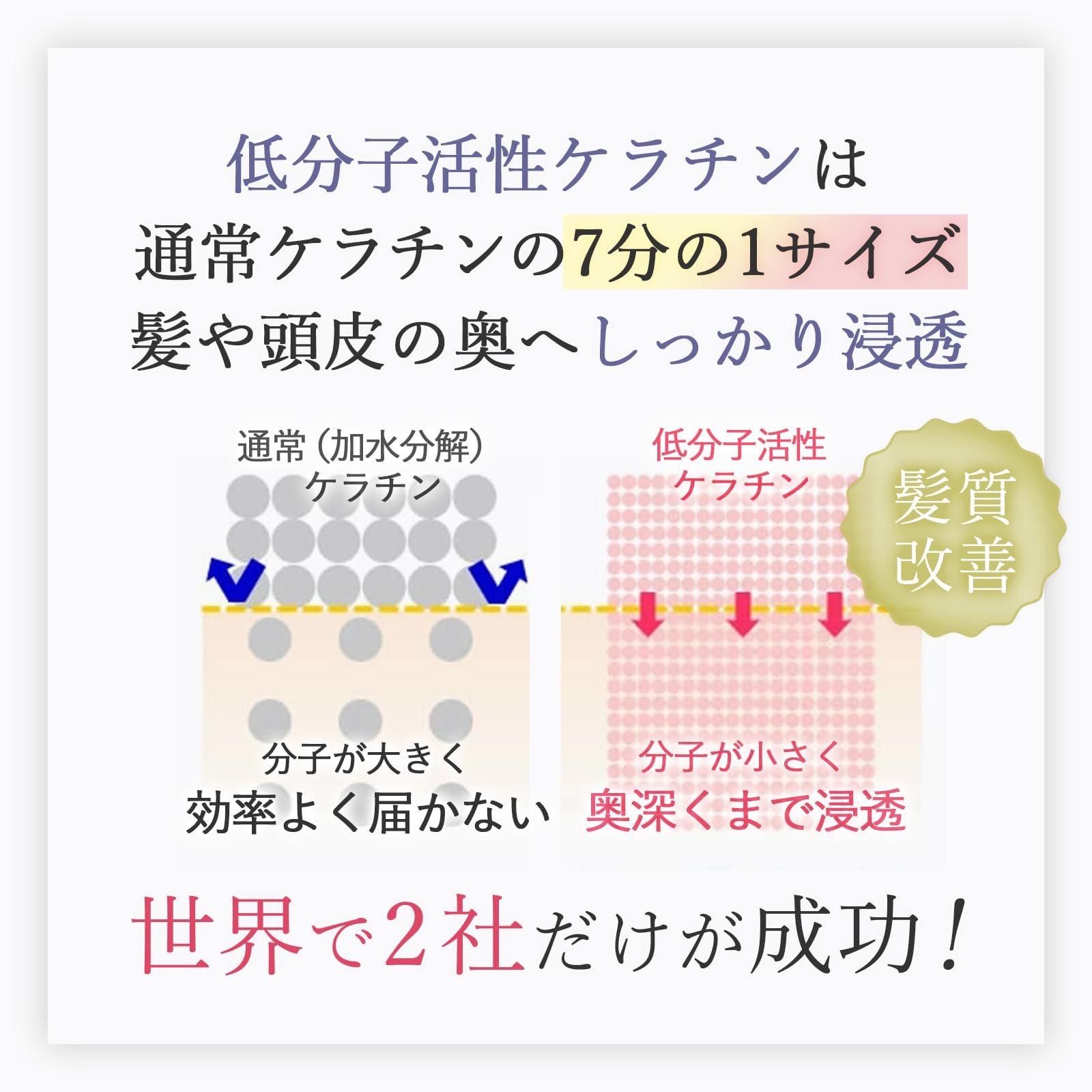 Amazon | EVOLUTESTA DEEP ケラチントリートメント ボトル 詰替 美容室